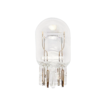 Sijalica W21/5W - 12V - W3X16Q, 10/1 kom