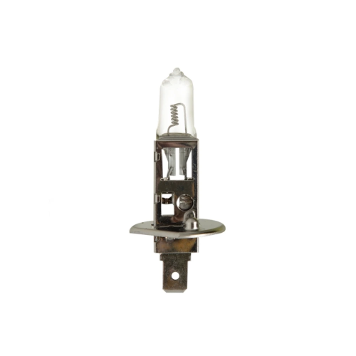 FUKUYAMA Sijalica H1 - 24V 70W - P14.5S, Standard,